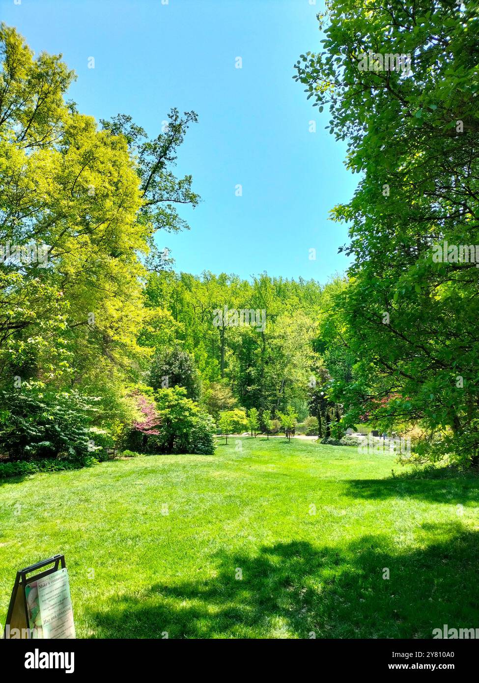Mélange de la beauté de la nature avec des maisons historiques en bois dans un parc dans le Maryland - Image de stock capturée avec un smartphone