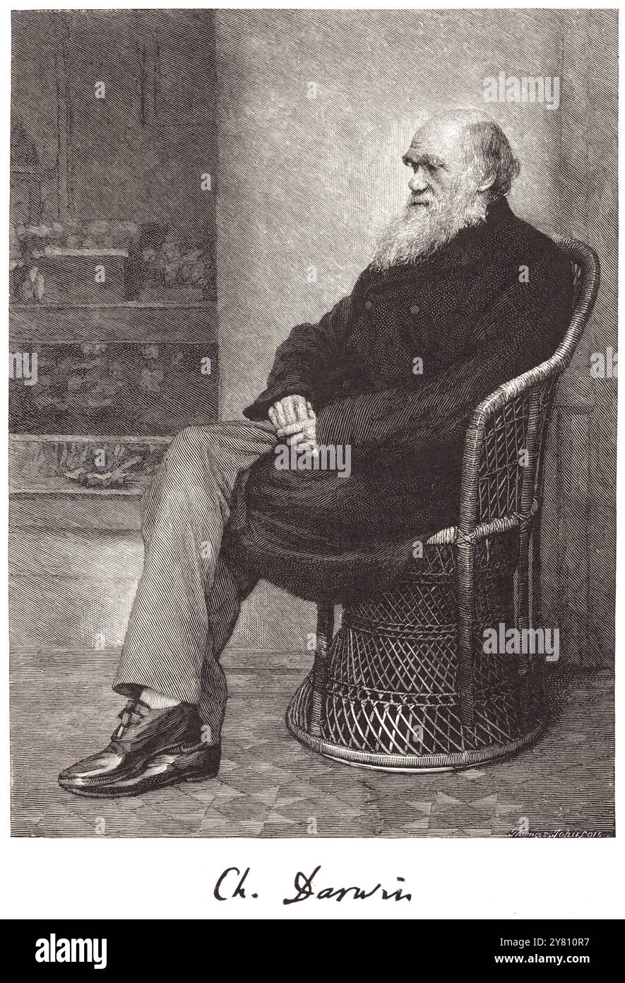 Portrait de Charles Darwin (1809-1882) gravure historique Banque D'Images