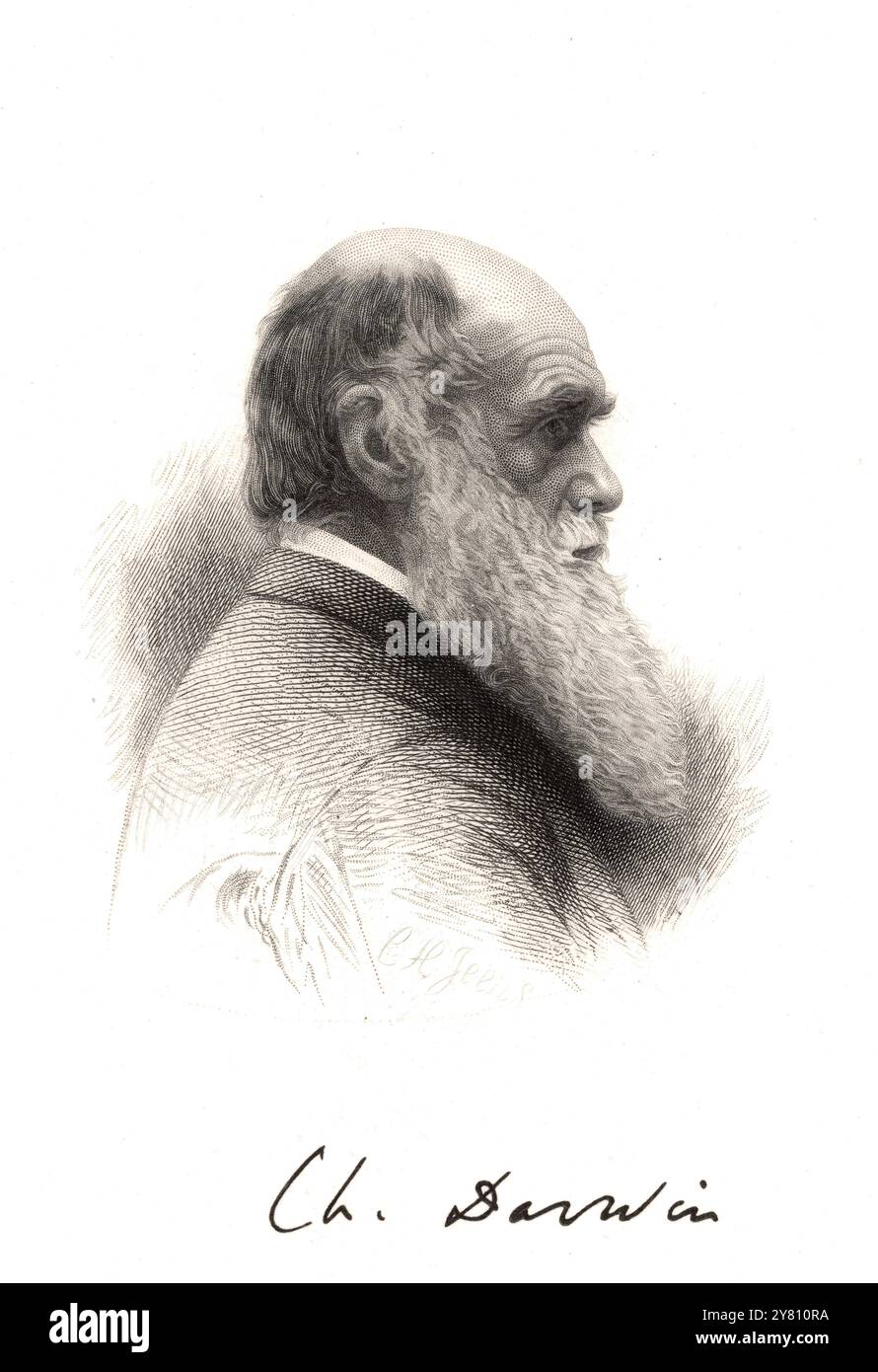 Portrait de Charles Darwin (1809-1882) gravure historique Banque D'Images