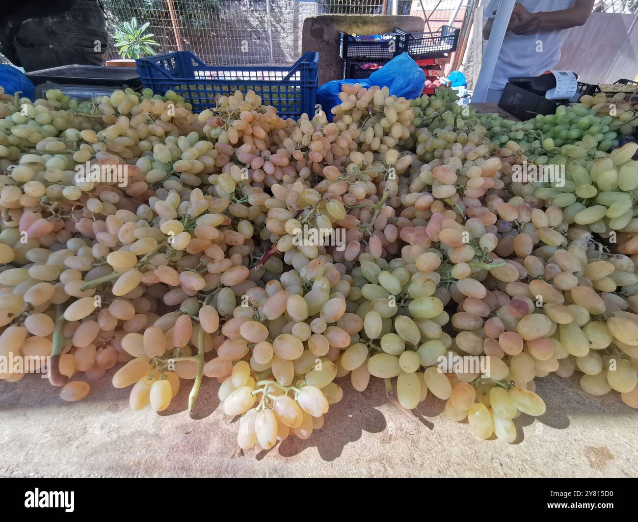 12 septembre 2024, Grèce, la Canée : les raisins reposent sur un étal dans un marché du quartier de Nea Chora. Photo : Alexandra Schuler/dpa Banque D'Images