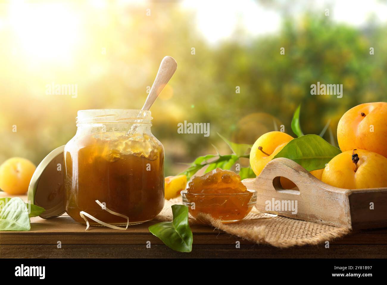 Confiture de prunes maison dans des bocaux en verre sur une table en bois dans le champ de prunes. Vue de face. Banque D'Images