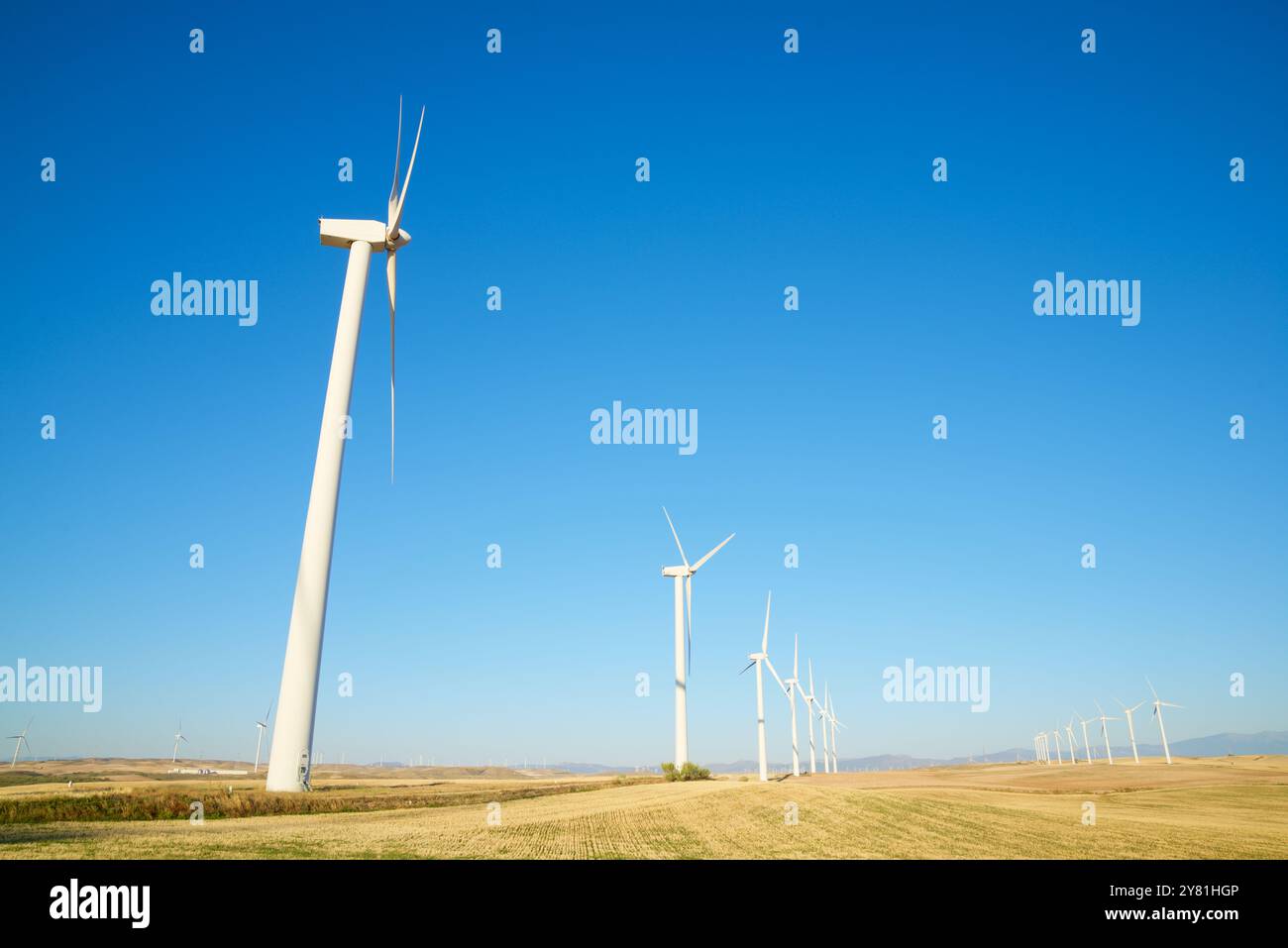 Générateurs d'éoliennes pour la production d'énergie électrique renouvelable Banque D'Images