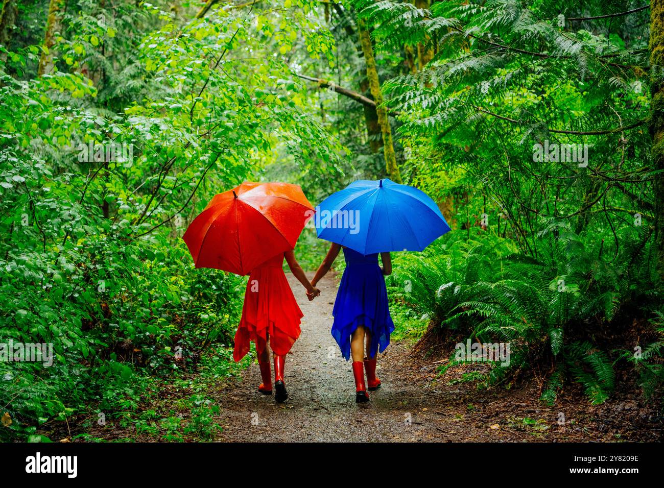 Deux personnes marchant sur un chemin forestier tenant des parapluies rouges et bleus vifs. Banque D'Images