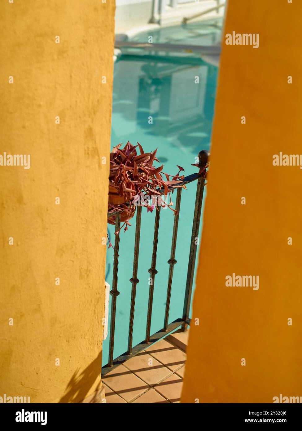 Balcon ensoleillé avec balustrade en métal et plantes en pot donnant sur une piscine entourée de murs jaunes vifs. Banque D'Images