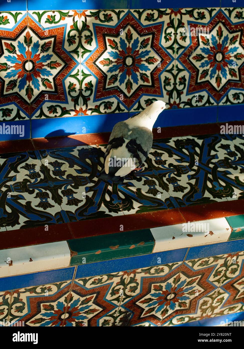 Un pigeon se dresse sur l'escalier orné de carreaux multicolores se prélassant au soleil. Banque D'Images