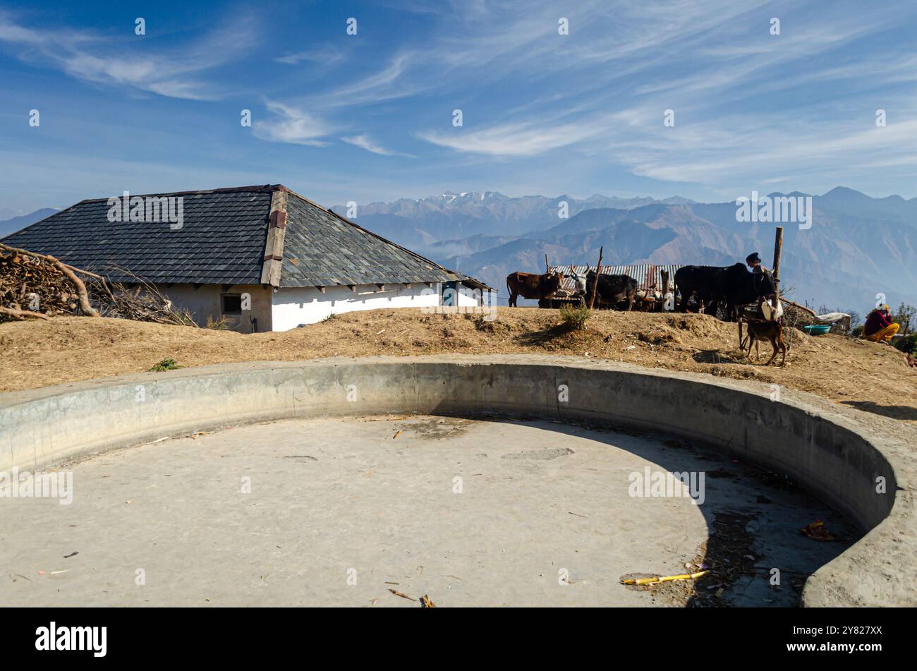 Une vue d'un village rural et de leur bétail sur les montagnes de l'Himachal Pradesh, Inde Banque D'Images