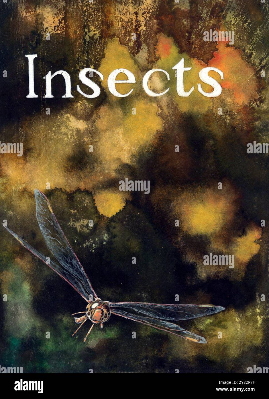 Aquarelle art libellule / damselfly, sur fond abstrait d'écorce impressionniste / feuillage. Couverture de livret de costume/éditorial illustrant les insectes volants. Banque D'Images Aquarelle art libellule / damselfly, sur fond abstrait d'écorce impressionniste / feuillage. Couverture de livret de costume/éditorial illustrant les insectes volants. Banque D'Images