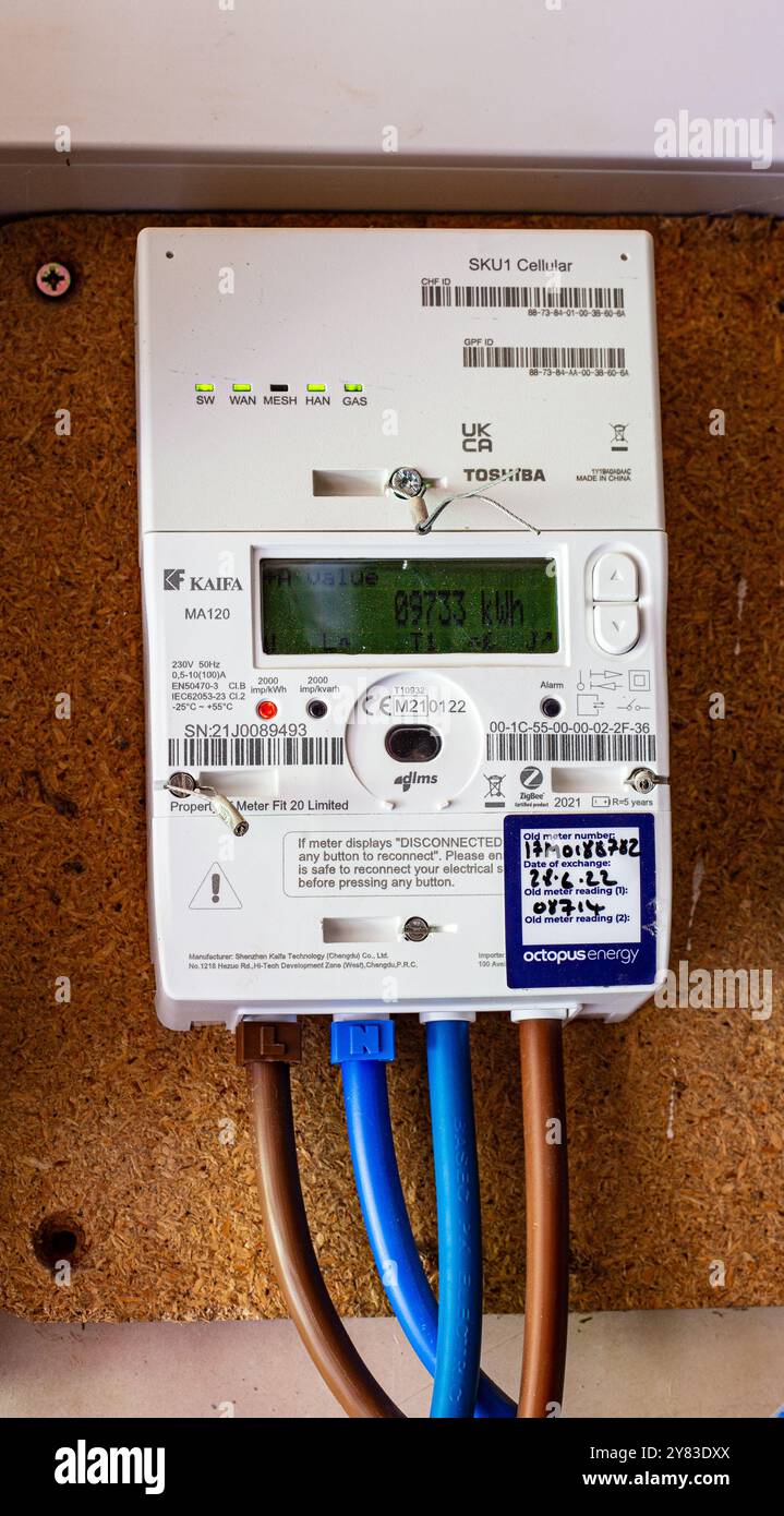 Gros plan d'un compteur d'électricité numérique monté sur un panneau de bois affichant des lectures et connecté avec des fils isolés Banque D'Images