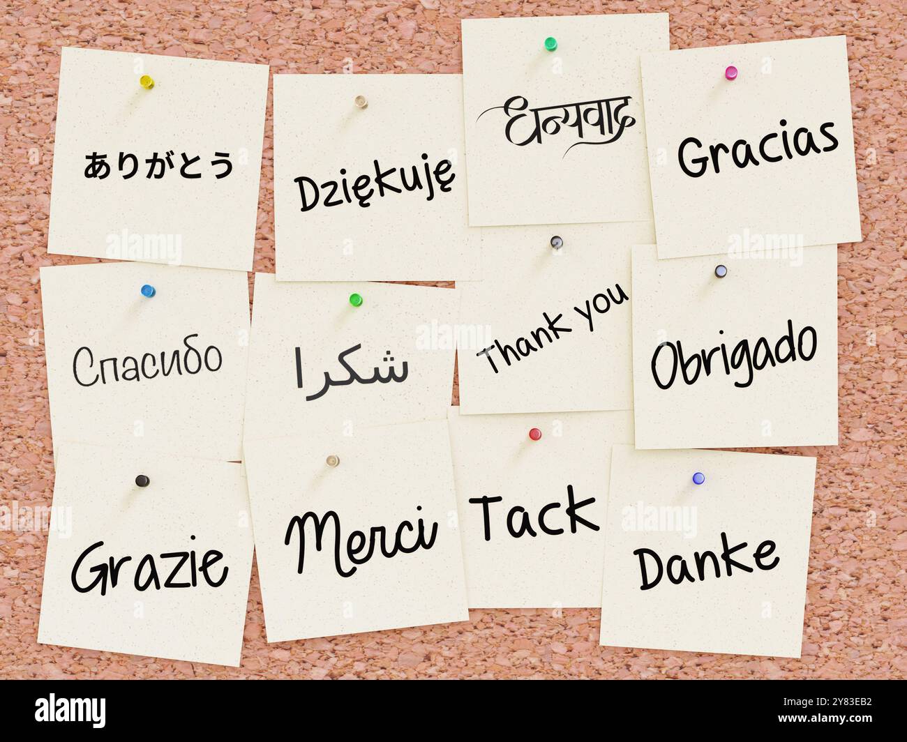 Douze notes de papier avec phrase de remerciement écrites en 12 langues différentes épinglées sur un panneau de liège Banque D'Images