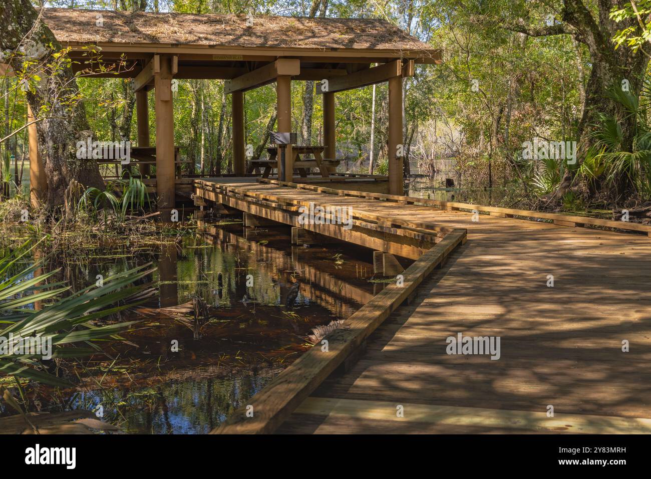 Le magnifique feuillage d'automne et les caractéristiques aquatiques du magnifique parc du lac de laitue du comté de Hillsborough à Tampa, en Floride, aux États-Unis Banque D'Images