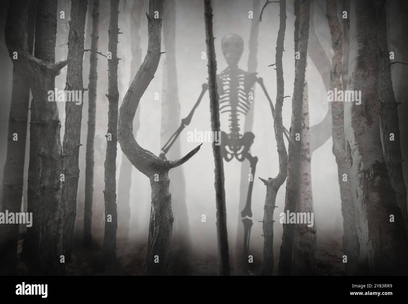 Squelette effrayant parmi les arbres dans la forêt brumeuse Banque D'Images