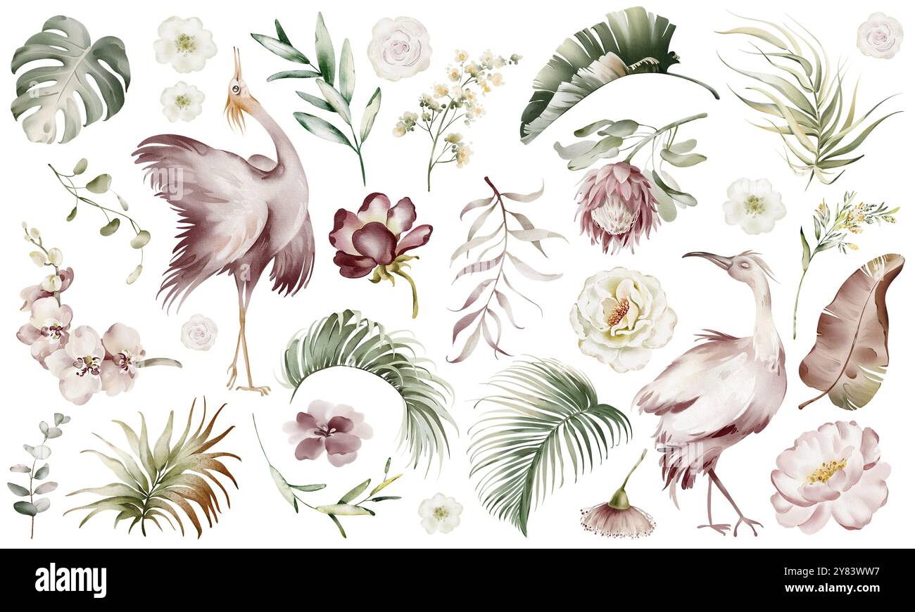 Feuilles tropicales, fleurs et oiseaux illustration aquarelle Banque D'Images