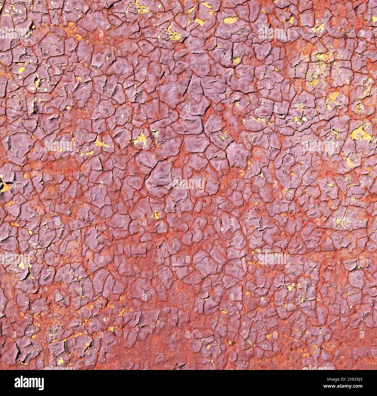 Mur métallique rose, fond. Surface mangeuse avec pelage et peinture fortement craquelée sur fond rouillé. Vieille surface avec couleur cramoisi délavée Banque D'Images