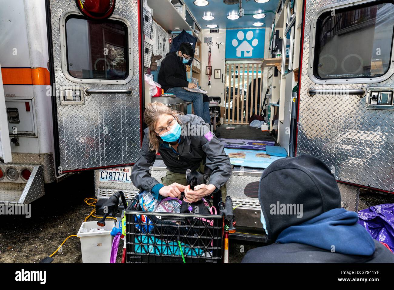 SVO-0018..... WASHINGTON - la vétérinaire HANNA EKSTROM examine un chien nommé Sasha à la clinique mobile de Seattle Veterinary Outreach. Banque D'Images