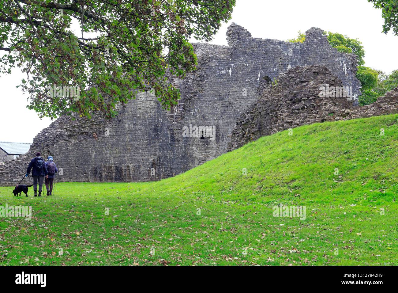 Couple promenant un chien au château de Saint Quentin, Cowbridge, Vale of Glamorgan, pays de Galles du Sud, Royaume-Uni. 2024 Banque D'Images