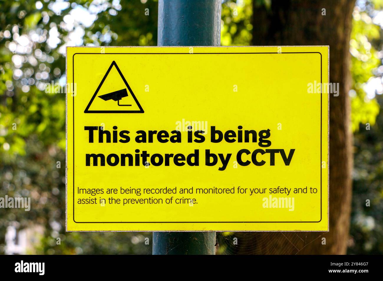 Panneau jaune générique de surveillance CCTV sur un poteau vert dans un environnement de stationnement Banque D'Images