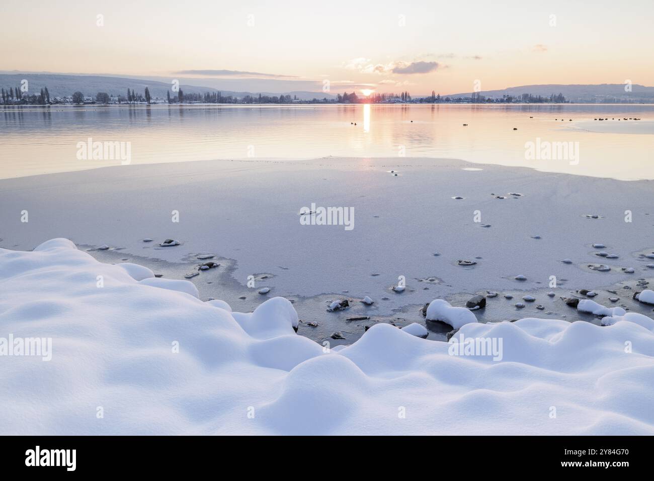 Rives enneigées d'un lac gelé au coucher du soleil, atmosphère calme et paisible, Seegarten, Allensbach, lac de Constance, Bade-Wuerttemberg, Allemagne, EUR Banque D'Images