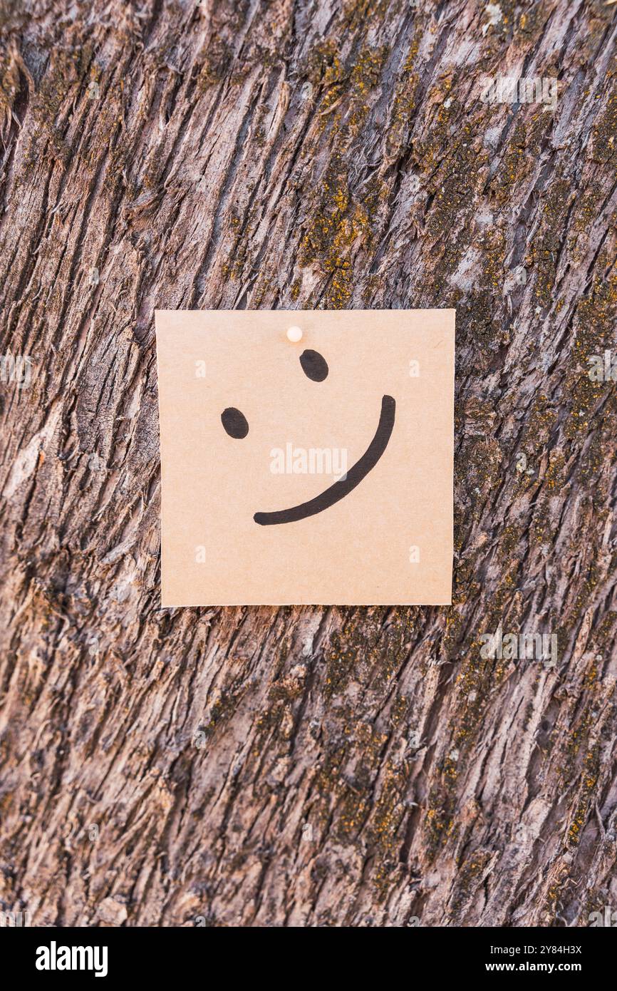 Visage heureux dessiné sur du carton recyclé avec un fond texturé d'écorce d'arbre Banque D'Images Visage heureux dessiné sur du carton recyclé avec un fond texturé d'écorce d'arbre Banque D'Images