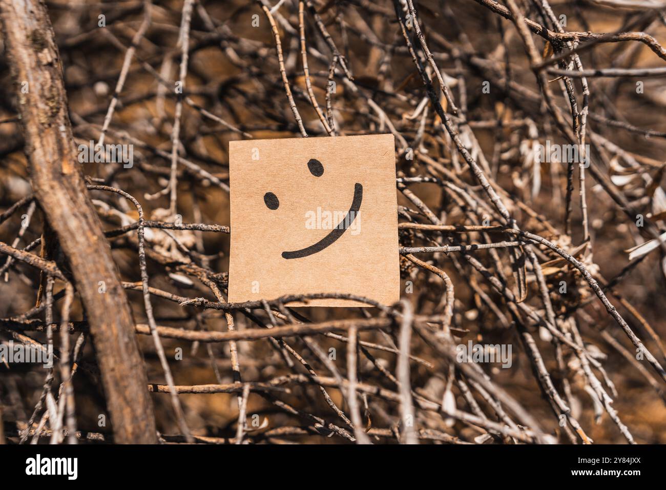 Visage heureux dessiné sur du carton recyclé avec un fond texturé d'écorce d'arbre Banque D'Images Visage heureux dessiné sur du carton recyclé avec un fond texturé d'écorce d'arbre Banque D'Images