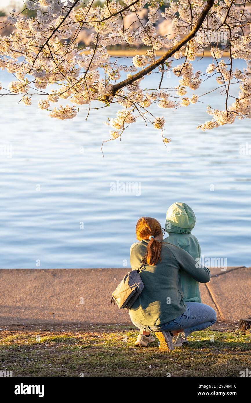 WASHINGTON DC, États-Unis — Une mère et son jeune enfant en bas âge apprécient les cerisiers en fleurs en pleine floraison le long du Tidal Basin à Washington DC. La paire est vue en admirant les délicates fleurs roses et blanches des cerisiers Yoshino, avec l'émerveillement et l'excitation de l'enfant clairement visibles. Cette scène réconfortante capture l'essence du plaisir familial et la transmission des traditions pendant le festival national des cerisiers en fleurs, l'une des attractions printanières les plus appréciées de la capitale. Banque D'Images