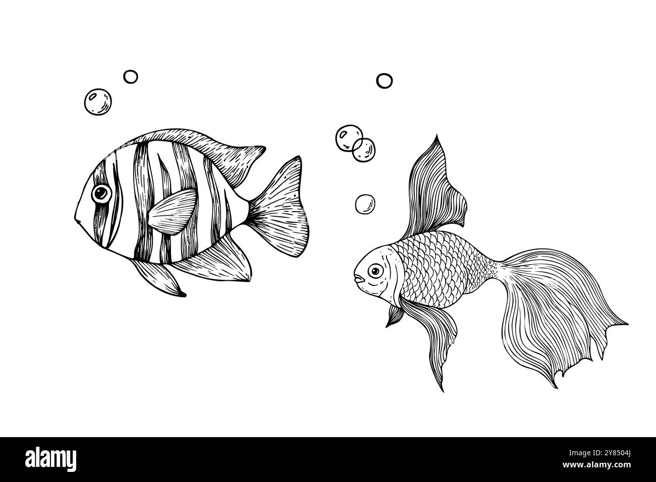 Vecteur tropical tropical et poisson d'or avec des bulles. Ligne peinte à la main récif exotique. Clip art tropical graphique isolé sur fond. ILLE sous-marine Illustration de Vecteur