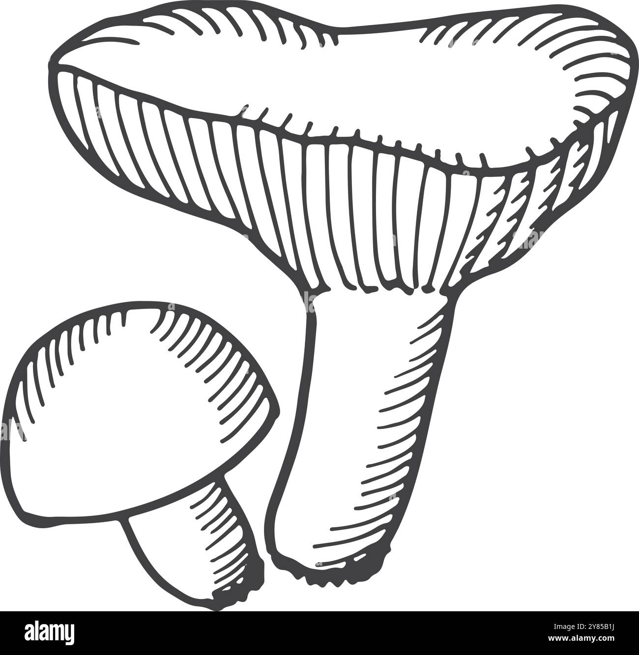 Doodle de champignon à chapeau laiteux. Icône de champignon des bois Illustration de Vecteur