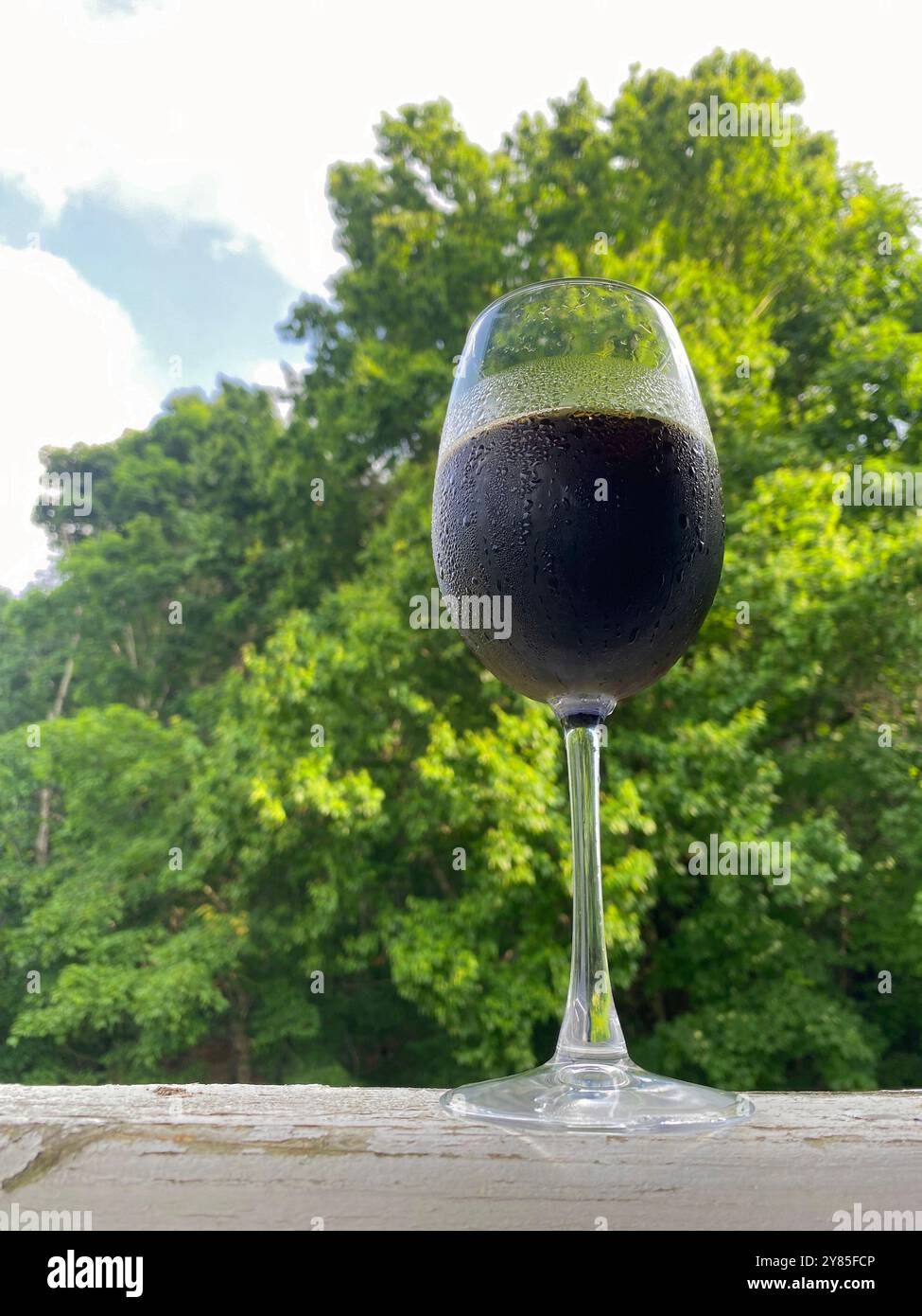 Verre de bière Guinness froide dans un verre à vin - Image de stock capturée avec un smartphone