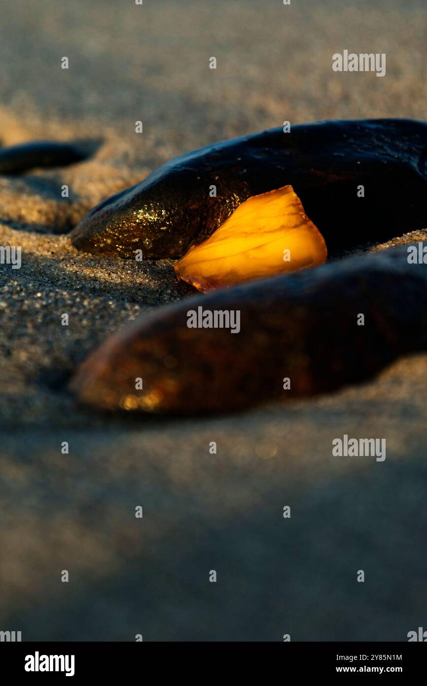 Un beau morceau d'ambre se trouve sur le sable chaud de la plage, scintillant au soleil et complétant la vue pittoresque Banque D'Images Un beau morceau d'ambre se trouve sur le sable chaud de la plage, scintillant au soleil et complétant la vue pittoresque Banque D'Images