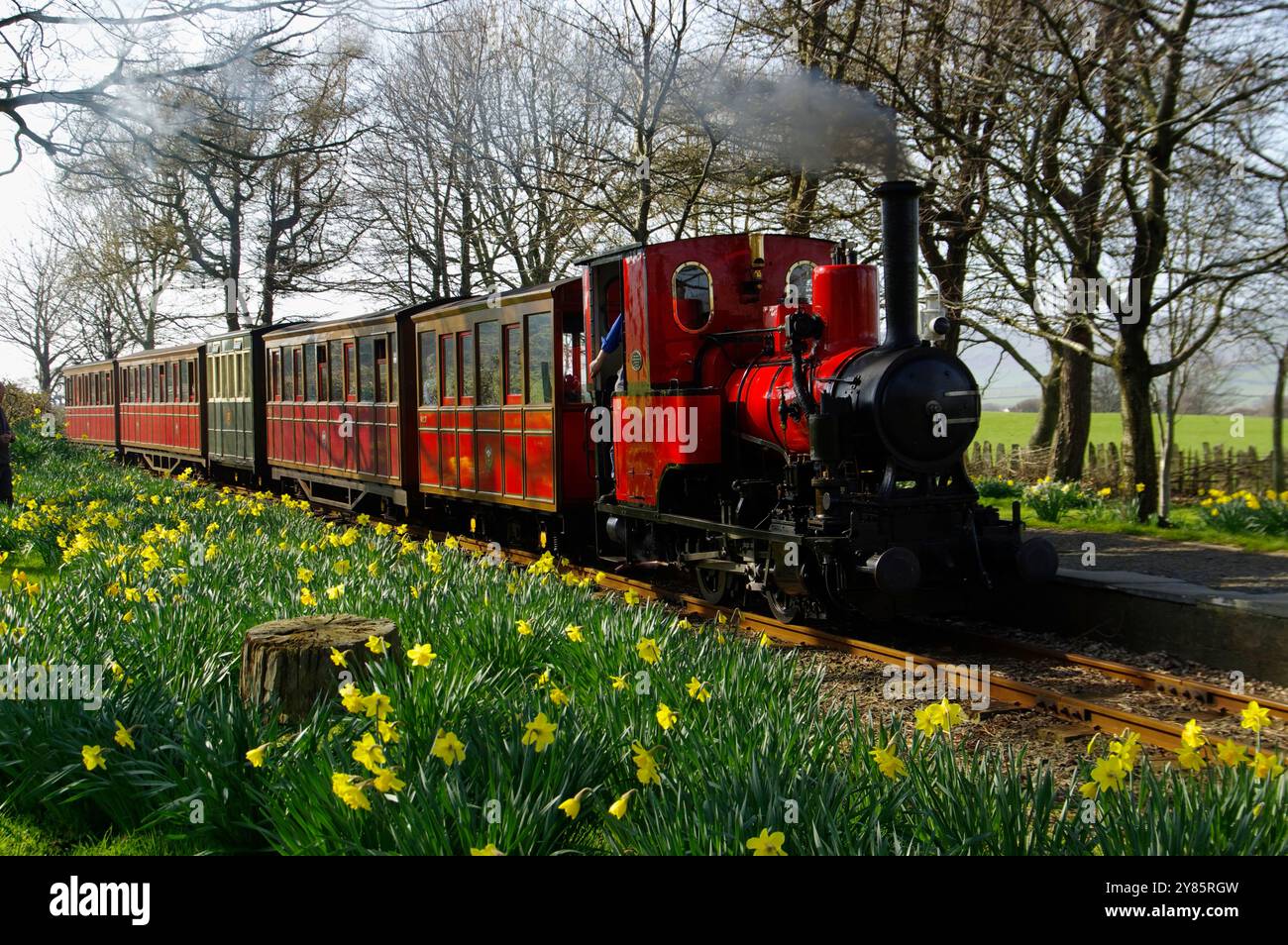 No 6, Douglas, locomotive, Rhydyronen Station, Tal y Llyn Railway, pays de Galles du Nord, Banque D'Images