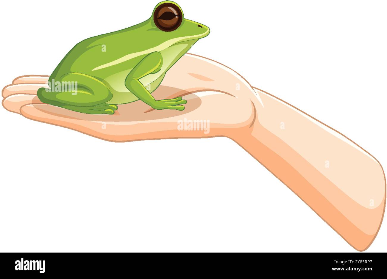 Une grenouille verte s'assoit calmement sur une main Illustration de Vecteur