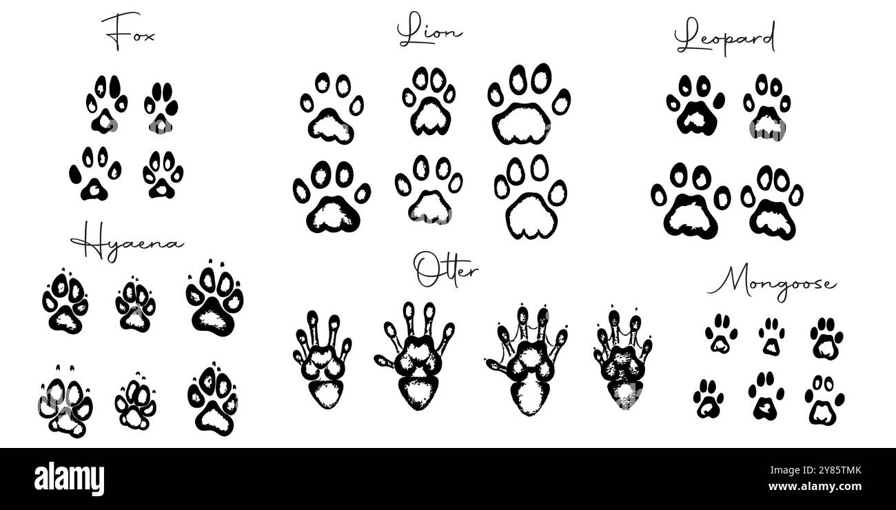Empreintes de pieds d'animaux sauvages dessinées à la main Illustration de Vecteur