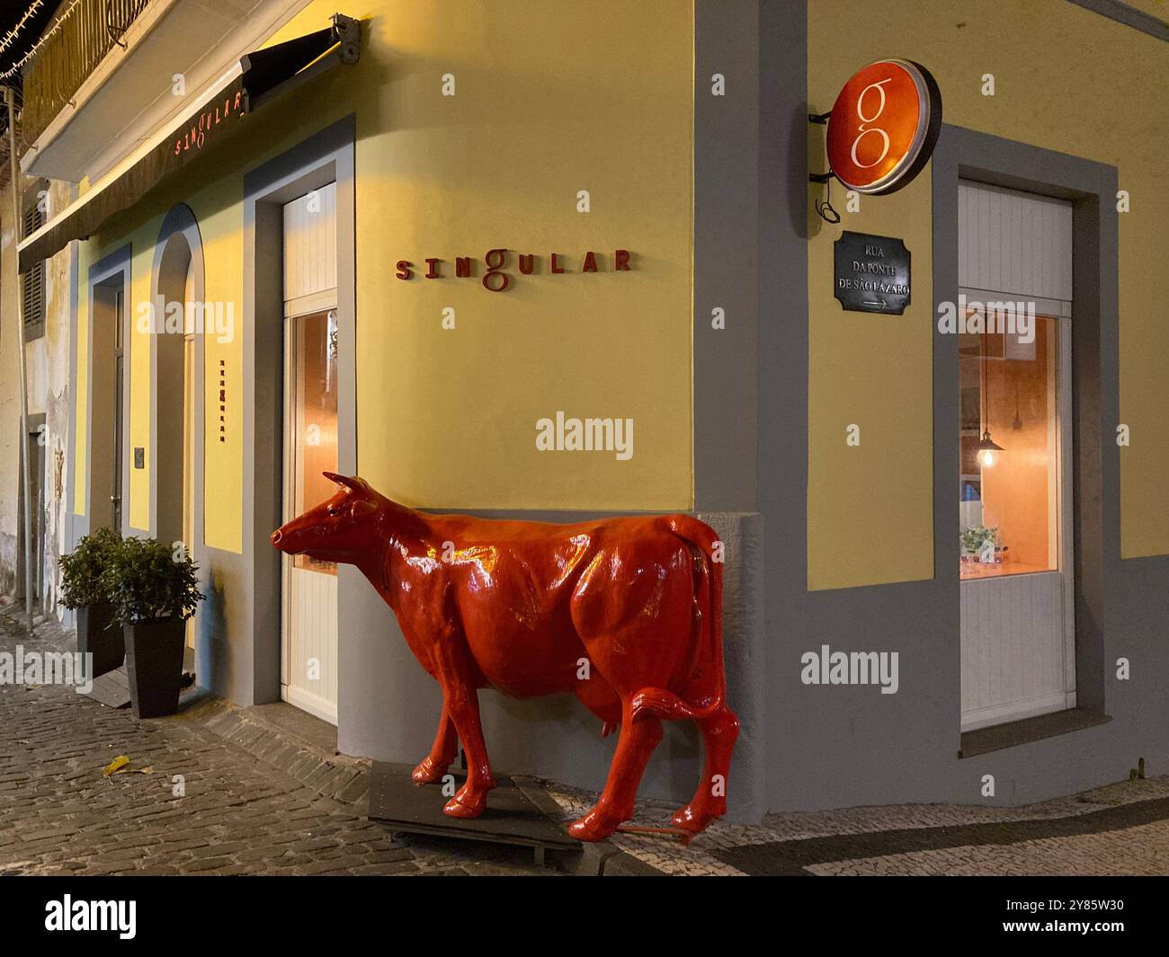Statue d'une vache rouge ou d'un taureau devant un opticien à Funchal, Madère. Banque D'Images