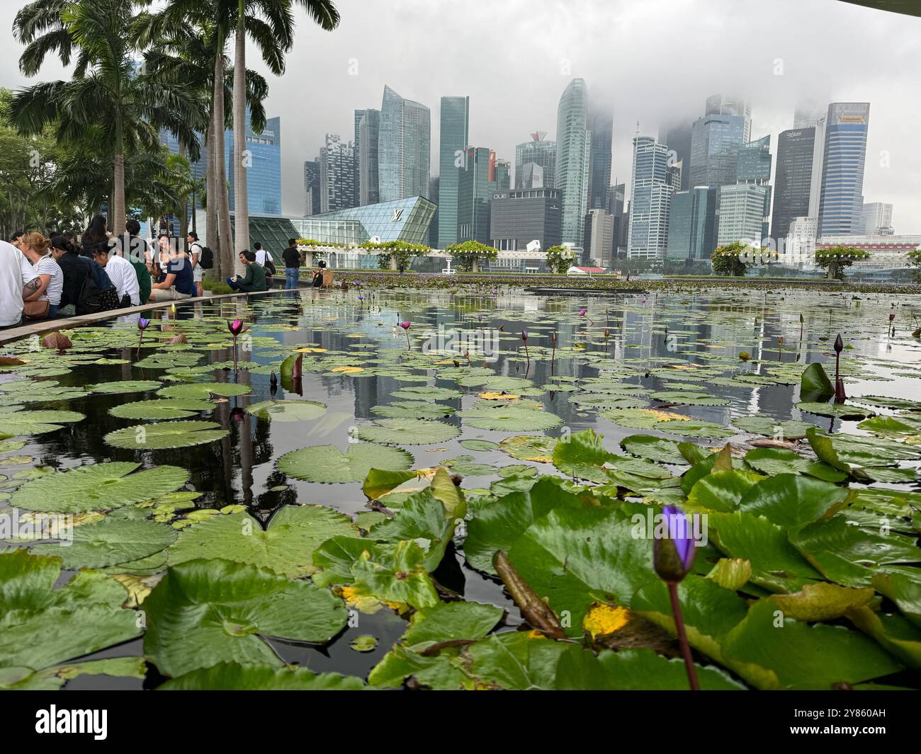 Singapour - Image de stock capturée avec un smartphone