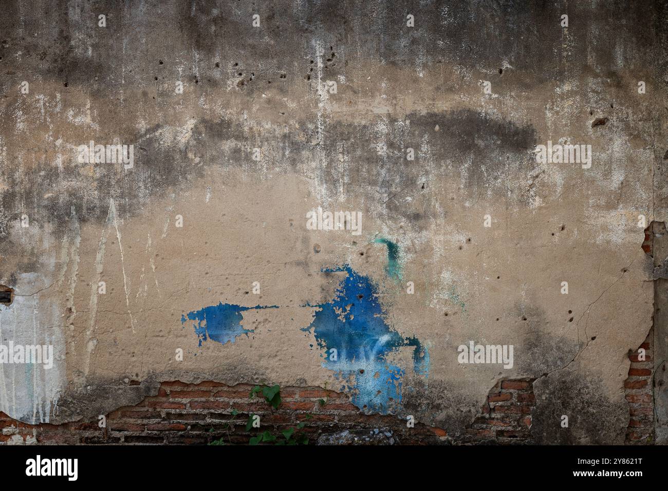 Vue avant d'un mur ancien, sale, endommagé et enduit.Le plâtre est partiellement décollé pour révéler de vieilles briques.Arrière-plan texturé plein format. Banque D'Images