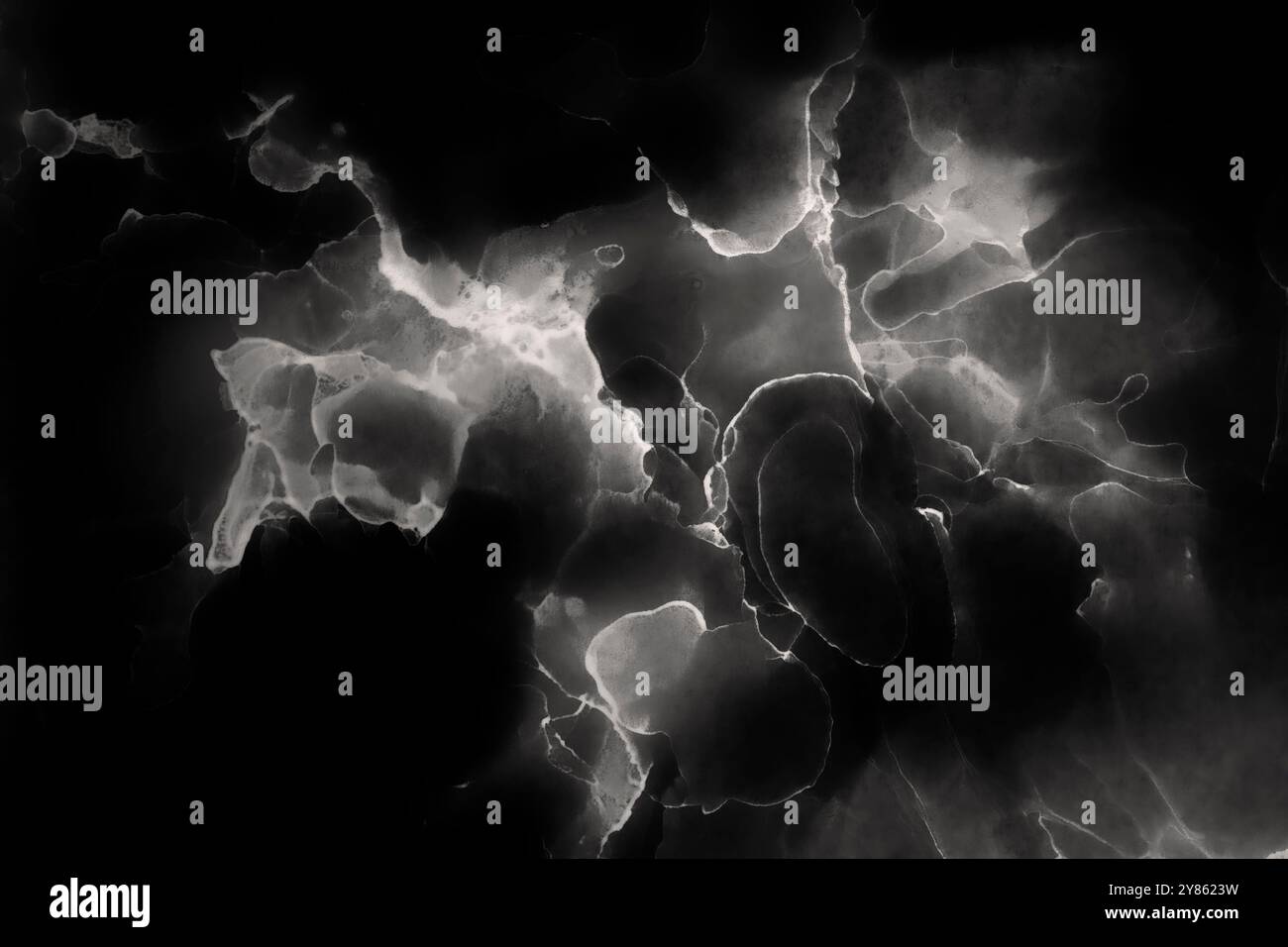 Macro gros plan des couches abstraites d'encre blanche et grise à l'alcool et des éclaboussures sur fond noir. Encre fluide, fond plein cadre en noir et blanc. Banque D'Images
