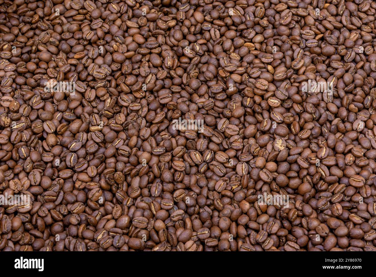 Grains de café torréfiés fond - photo stock Banque D'Images
