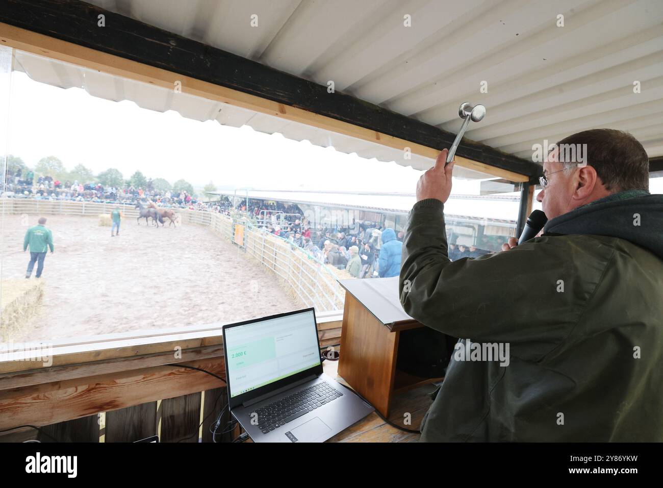 Crawinkel, Allemagne. 03 Oct, 2024. Le commissaire-priseur Volker Raulf lève le marteau de la vente aux enchères lors d'une vente aux enchères de chevaux et poulains dans le 'Thüringeti', environ 80 chevaux sont proposés aux enchères. Environ 2 000 hectares en bordure de la forêt de Thuringe abritent 500 chevaux provenant d'une grande variété de zones d'élevage et de races dans le cadre d'un programme de mise en jachère. Les chevaux passent toute leur vie dans la nature. Crédit : Bodo Schackow/dpa/Alamy Live News Banque D'Images