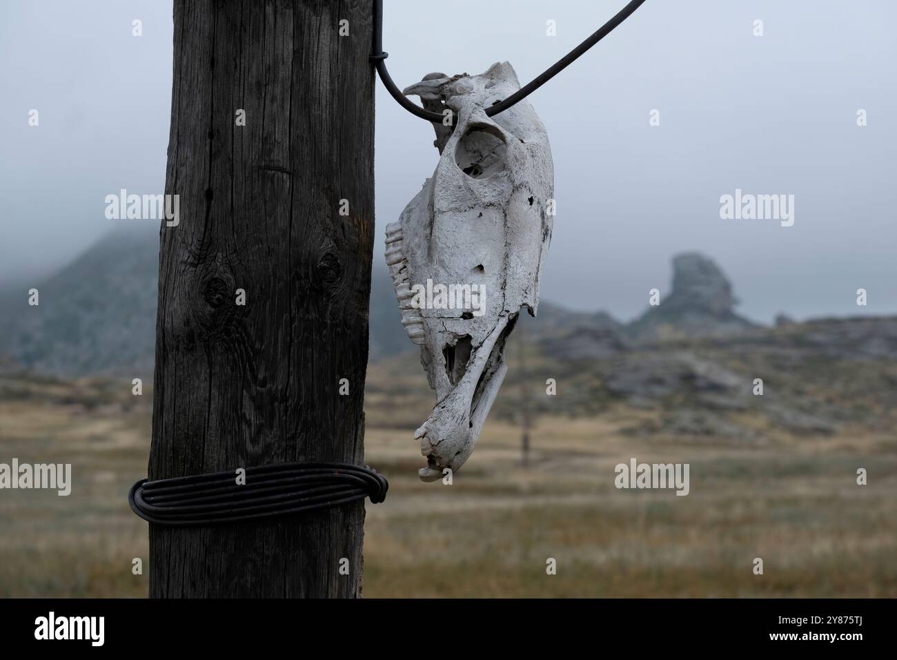 crâne de cheval suspendu et balançant sur un poteau sur fond de montagnes sombres au crépuscule Banque D'Images