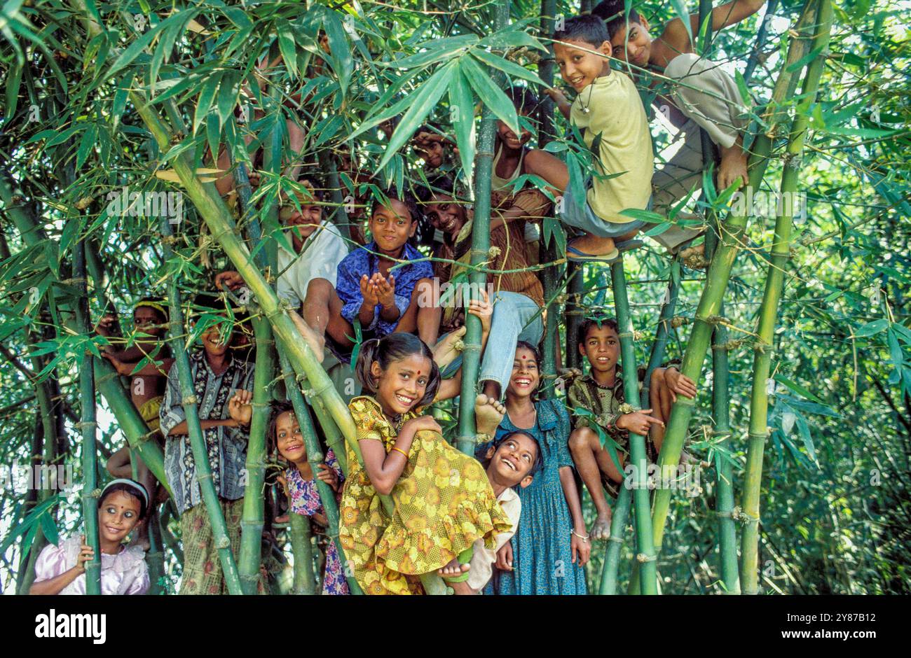 Bangladesh, Betila, Nagis Akter et amis du village jouant dans une plantation de bambous 1 sur 9 photos de la série. Banque D'Images