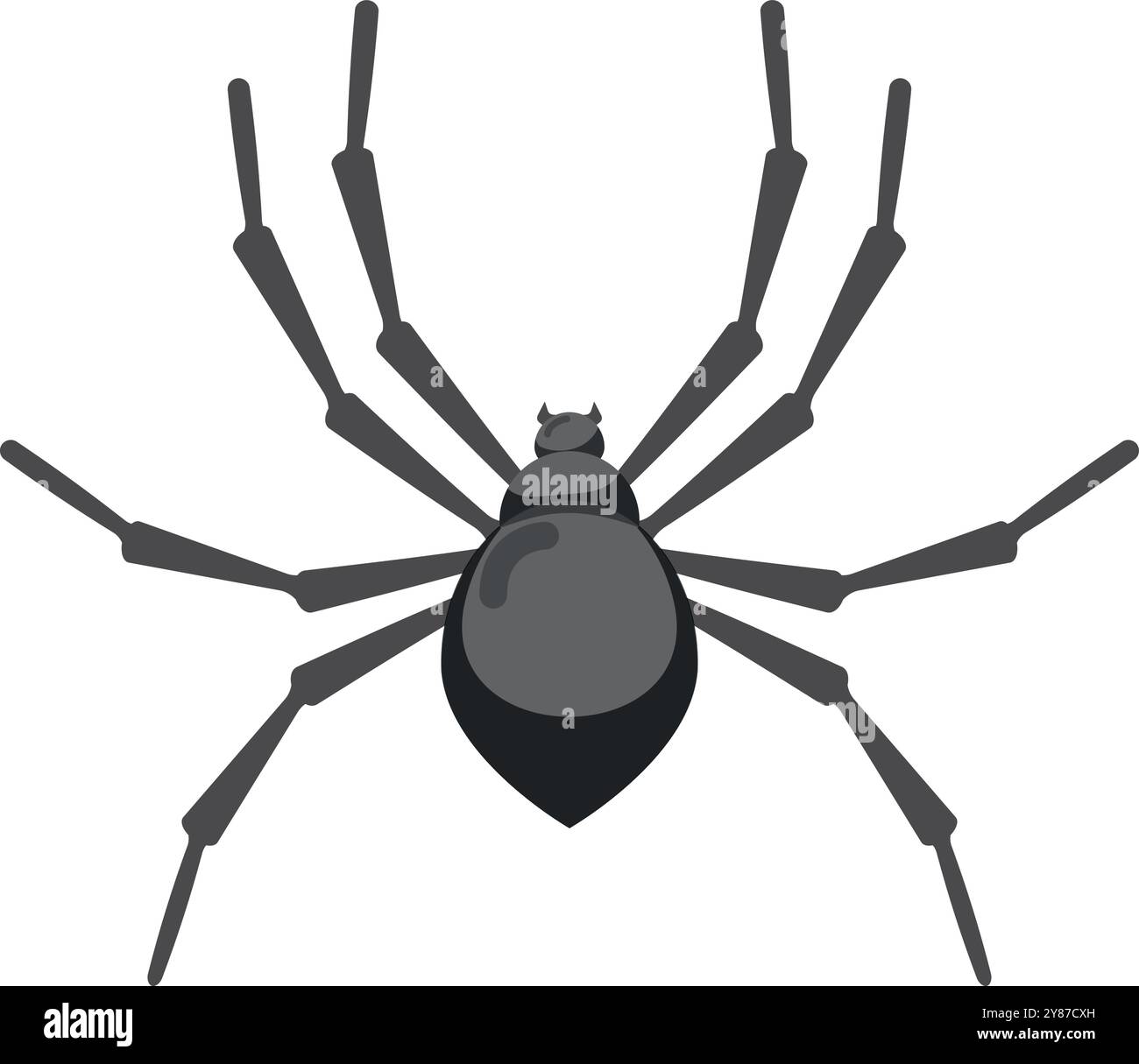 Icône araignée noire. Arachnide effrayante. Insecte dangereux Illustration de Vecteur