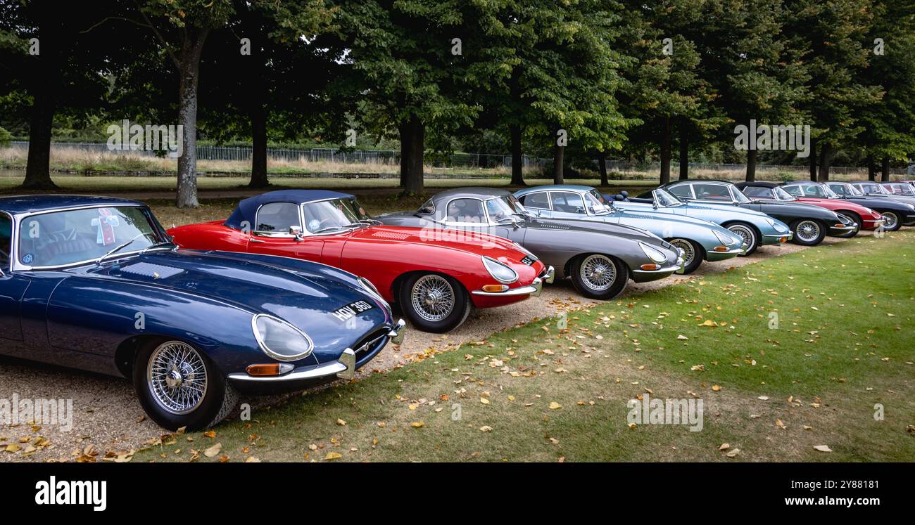 Exposition de voitures Jaguar de type E classiques, concours of Elegance 2024, Hampton court Palace, Londres, Royaume-Uni Banque D'Images