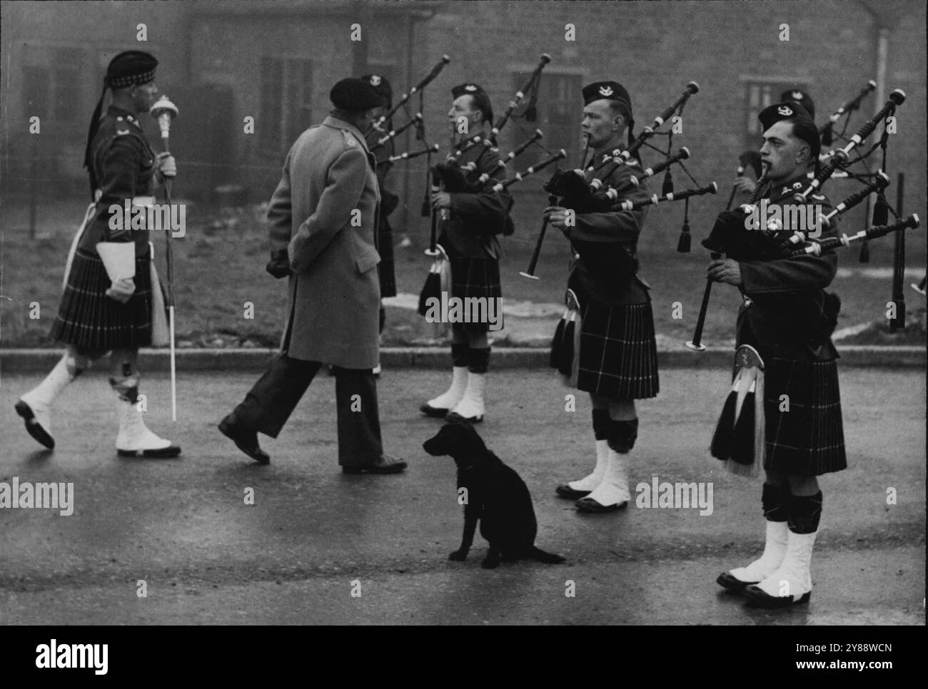 Le Gate-Crasher- Field - Marshal Vicomte Montgomery -- Field- Marshal Montgomery inspectant les Seaforth Highlanders pendant que le chien noir essayait de regarder comme s'il leur appartenait, les procédures l'ennuyaient. Aujourd'hui fait sa première tournée des formations du Southern Command depuis sa nomination en tant que C.I.G.S. les cornemuses des Seaforth Highlanders savaient que c'était un événement d'importance pour lequel 'Mont était son béret noir, mais un chien noir, peut-être attiré par les tuyaux, a écrasé l'inspection, ce qui a semblé l'ennuyer légèrement. 10 mars 1947. Banque D'Images