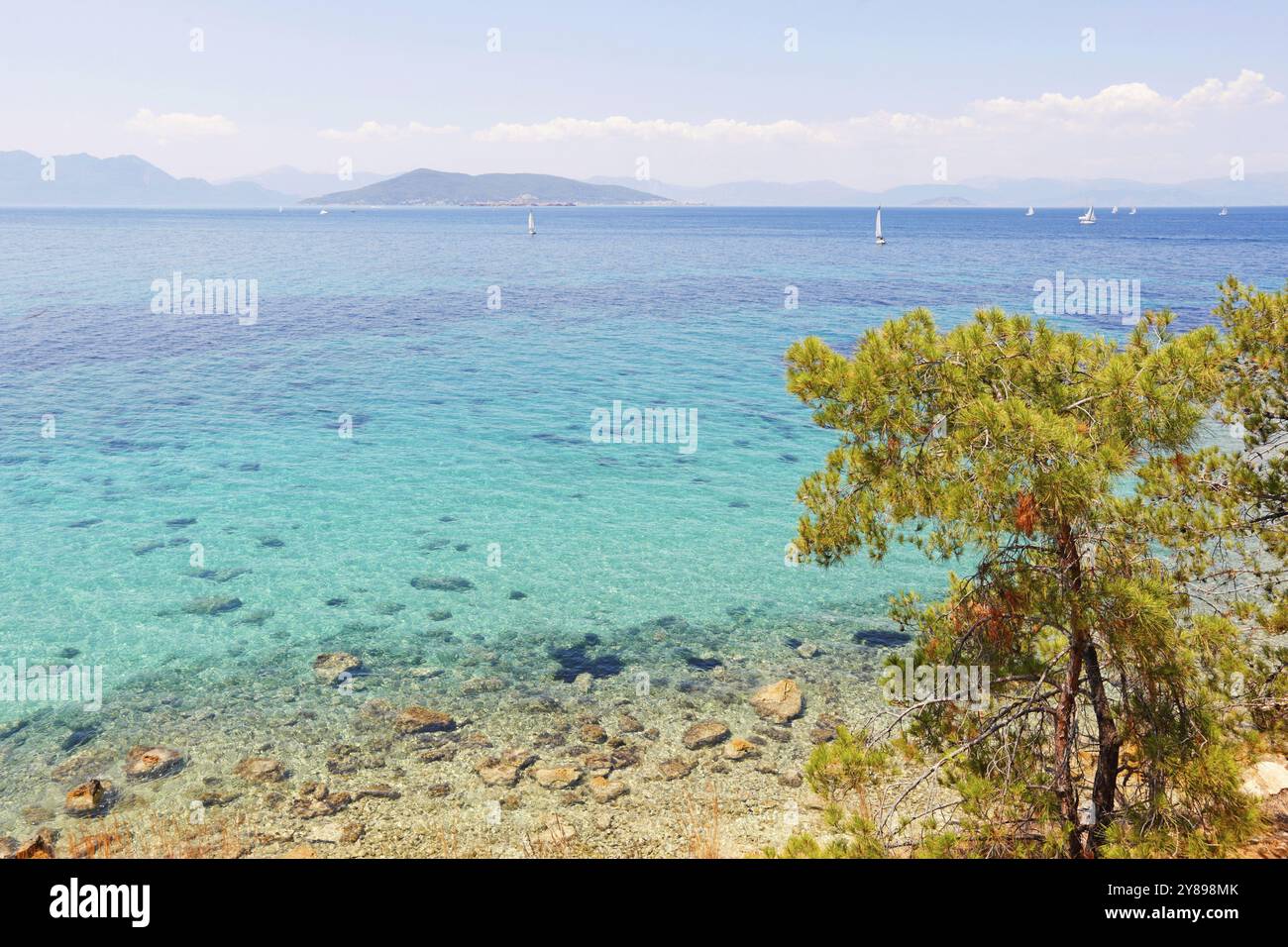 Voiliers près de l'île d'Egine, Grèce, Europe Banque D'Images