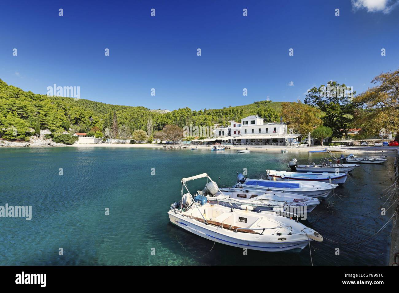 Le port à Agnontas de l'île de Skopelos, Grèce, Europe Banque D'Images