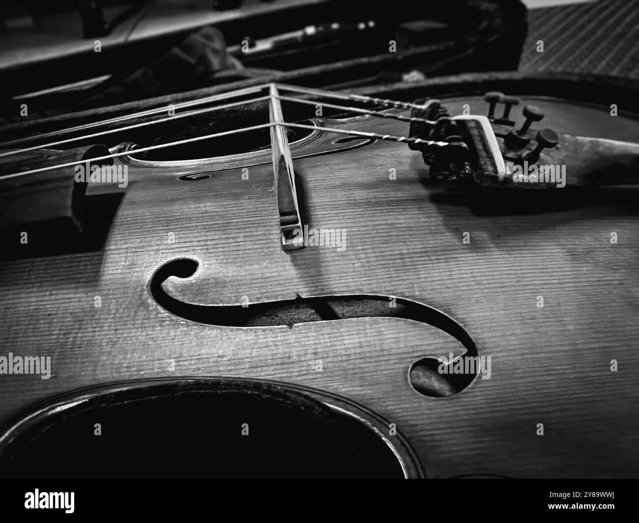 Face avant de violon fabriqué à partir de vrais panneaux, avec trou en F, mentonnière, cordier, pont et cordes.Show détail de l'instrument acoustique. Banque D'Images