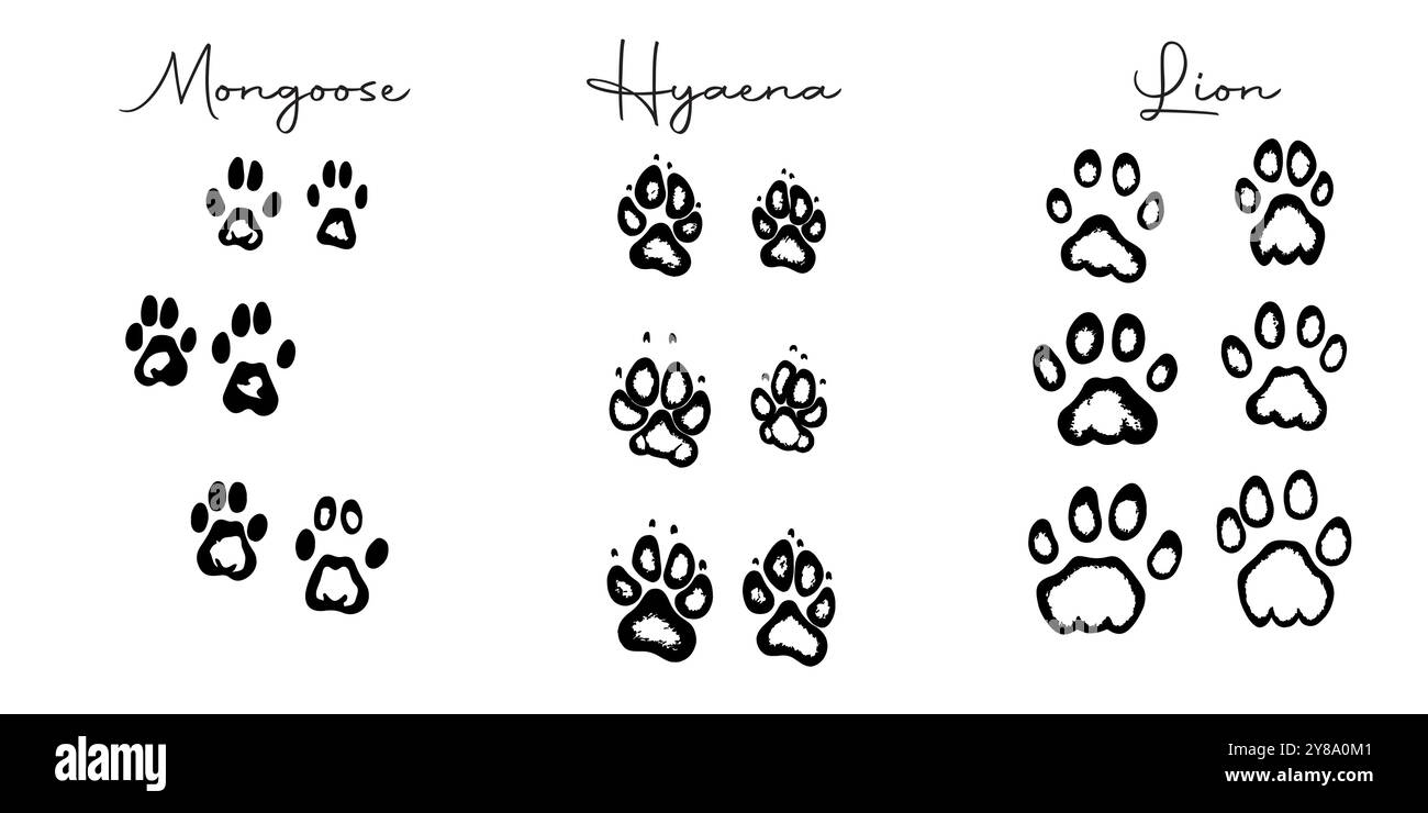 Empreintes de pieds d'animaux sauvages dessinées à la main Illustration de Vecteur