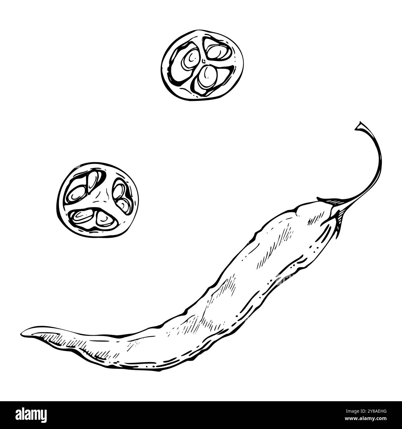 Poivron au Chili mexicain, salade de légumes épicée ingrédient jalapeno habanero. Illustration isolée de vecteur d'encre dessinée à la main. Snack-bar design, livraison Illustration de Vecteur