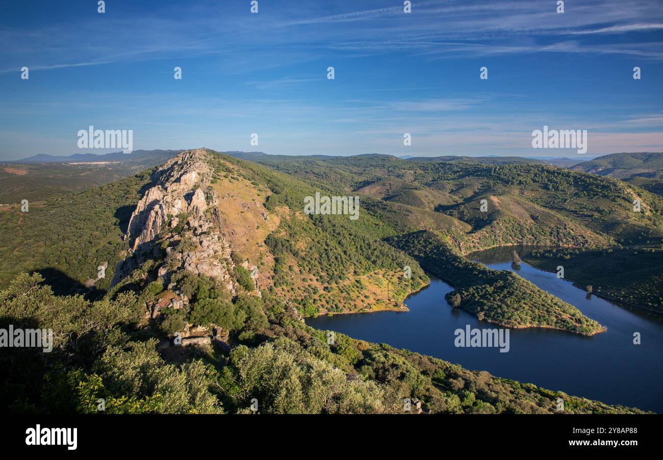 Vautour de griffon (Gyps fulvus), rocher vautour de Salto del Gitano et réservoir de Tajo, vue depuis le château de Monfrague, Espagne, Estrémadure, Monfrague National Pa Banque D'Images