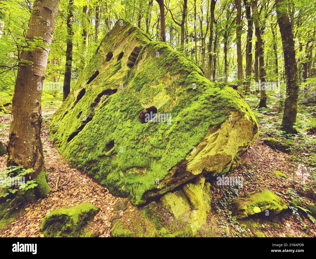 Roche couverte de mousse dans un paysage rocheux imposant dans une forêt naturelle, la petite Suisse luxembourgeoise, Luxembourg, Kleine Luxemburgische Schweiz, Banque D'Images