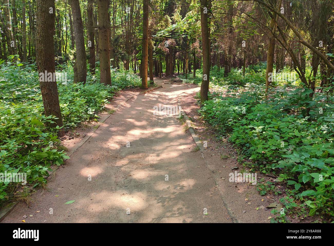 Route dans le vieux parc comme beau fond d'été. Old Park en Ukraine. Banque D'Images